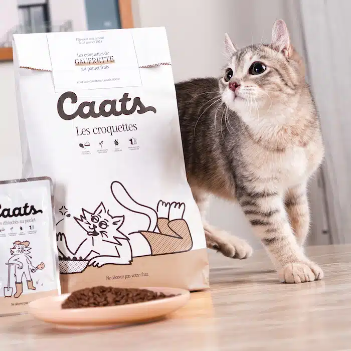 Un jeune chat tigré avec les produits chaton Caats