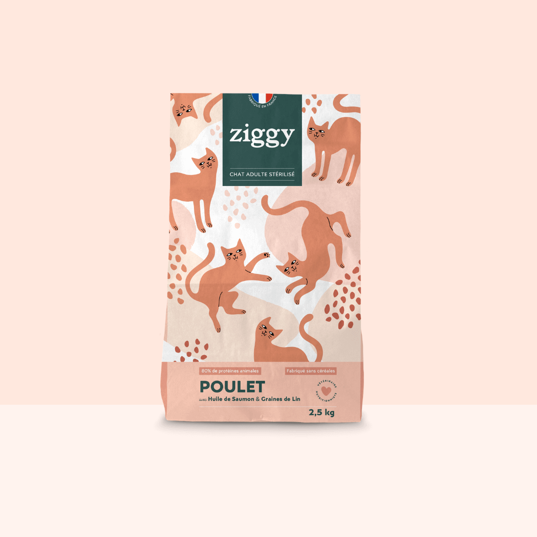 Packaging Ziggy Adulte stérilisé sans céréales · poulet